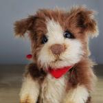 Sheltie Puppy