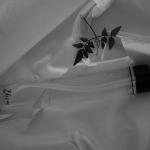 Bloom Tonik za lice