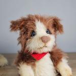 Sheltie Puppy