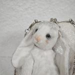White Bunny