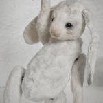 White Bunny